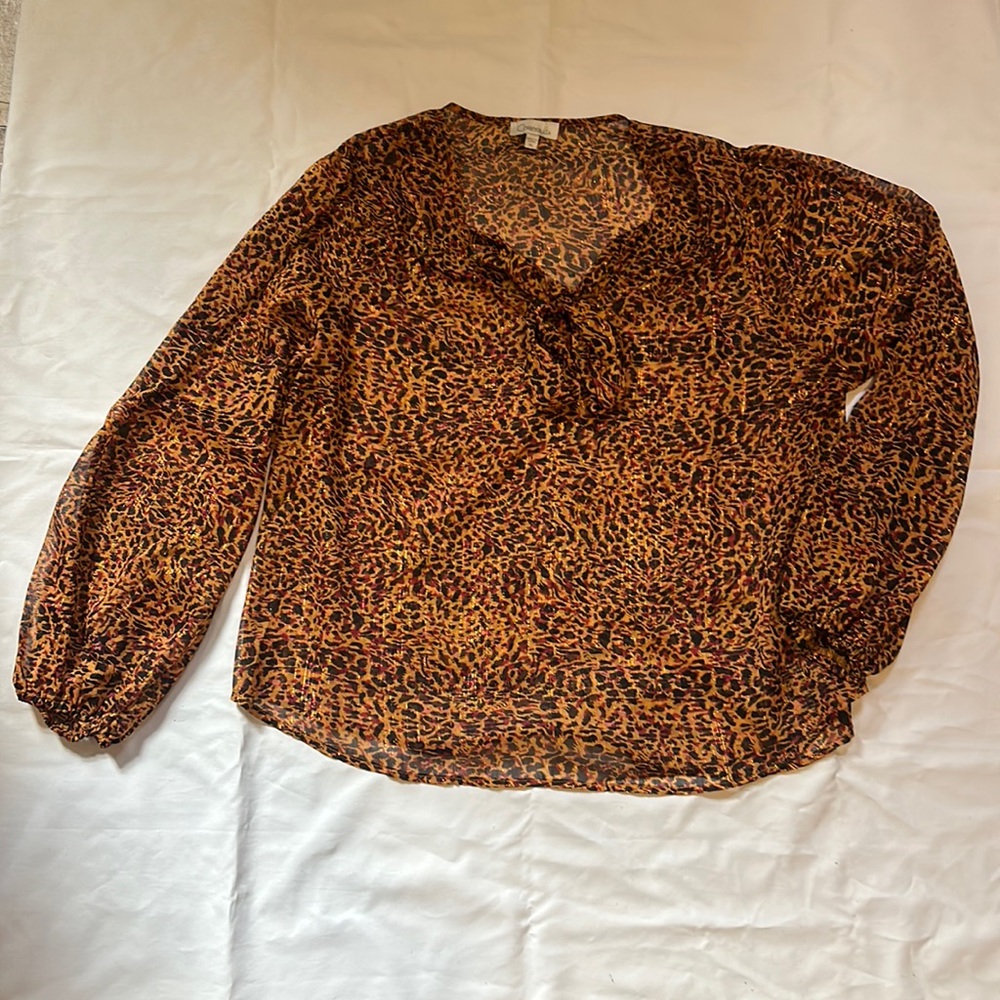 Brand new sheer blouse (women style)
